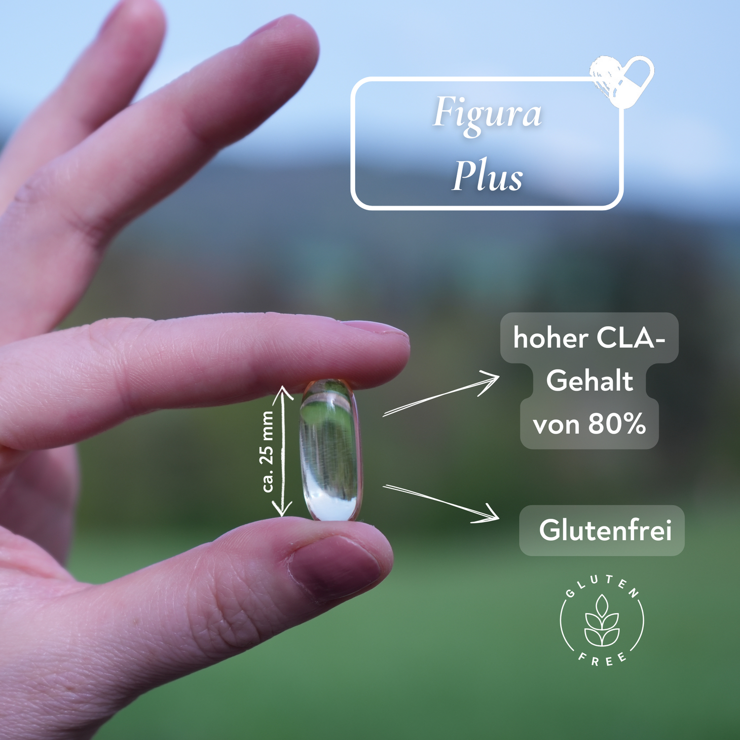 CLA Figura Plus - 60 Kapseln