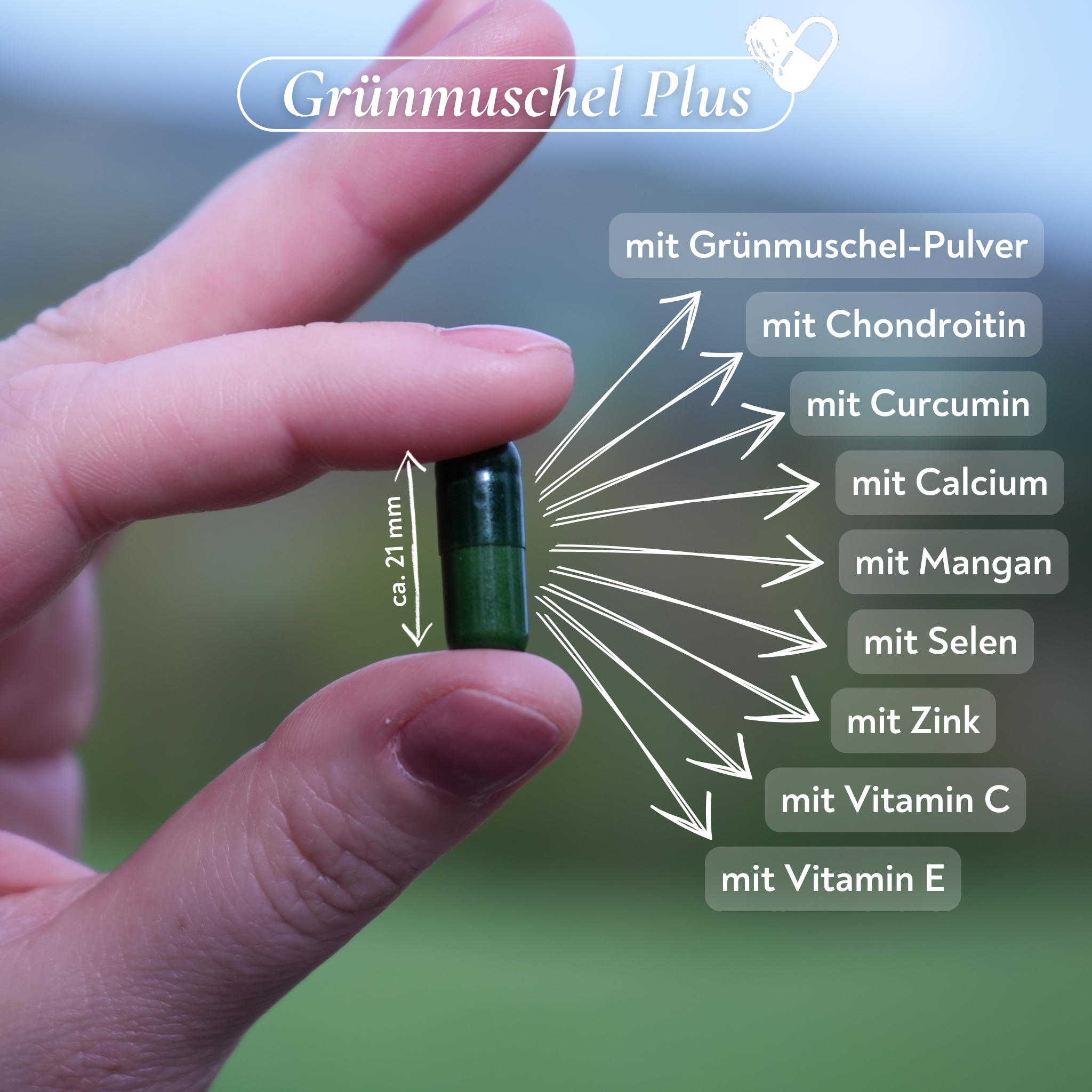 Grünmuschel-Mineral-Vitamin-Komplex - 90 Kapseln