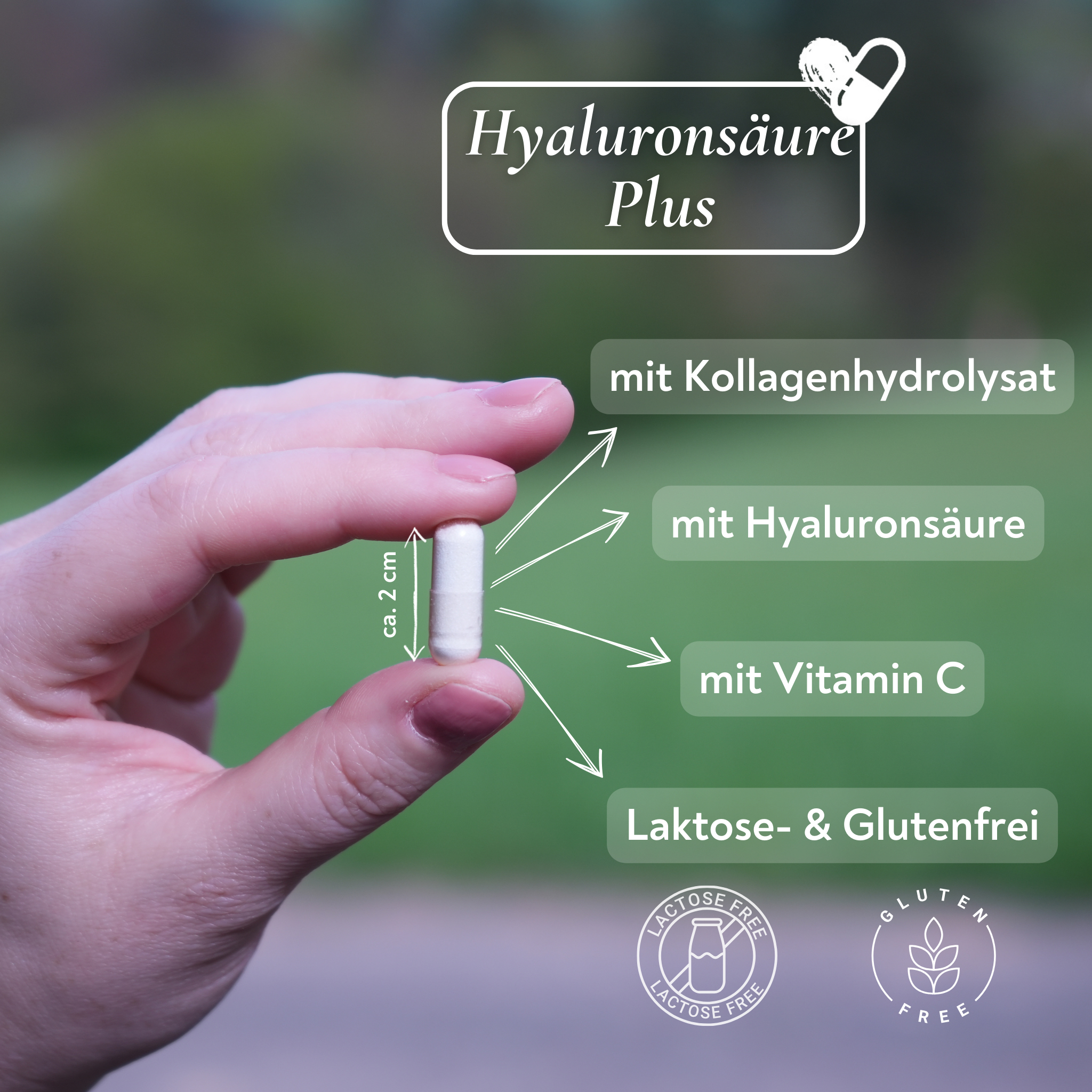 Hyaluronsäure Plus - 60 Kapseln