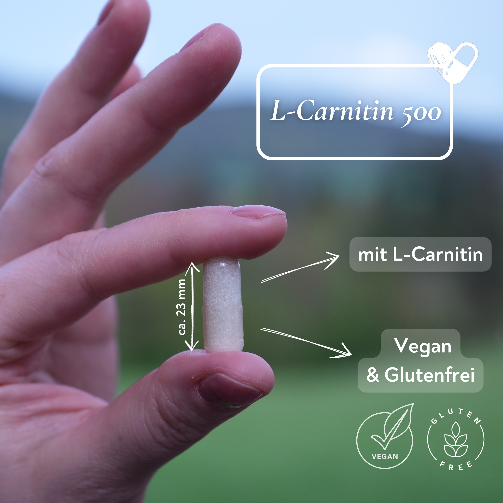 L-Carnitin - 90 Kapseln