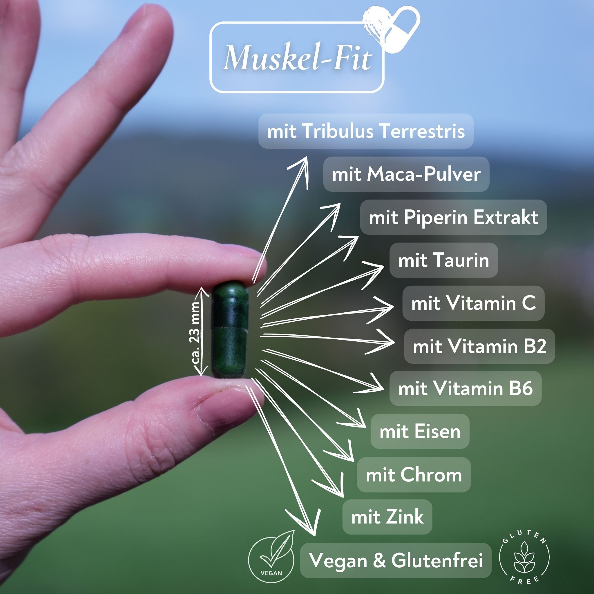 Muskel Fit - Vegane Power Kapseln mit Mineralien und Vitaminen - 60 Kapseln