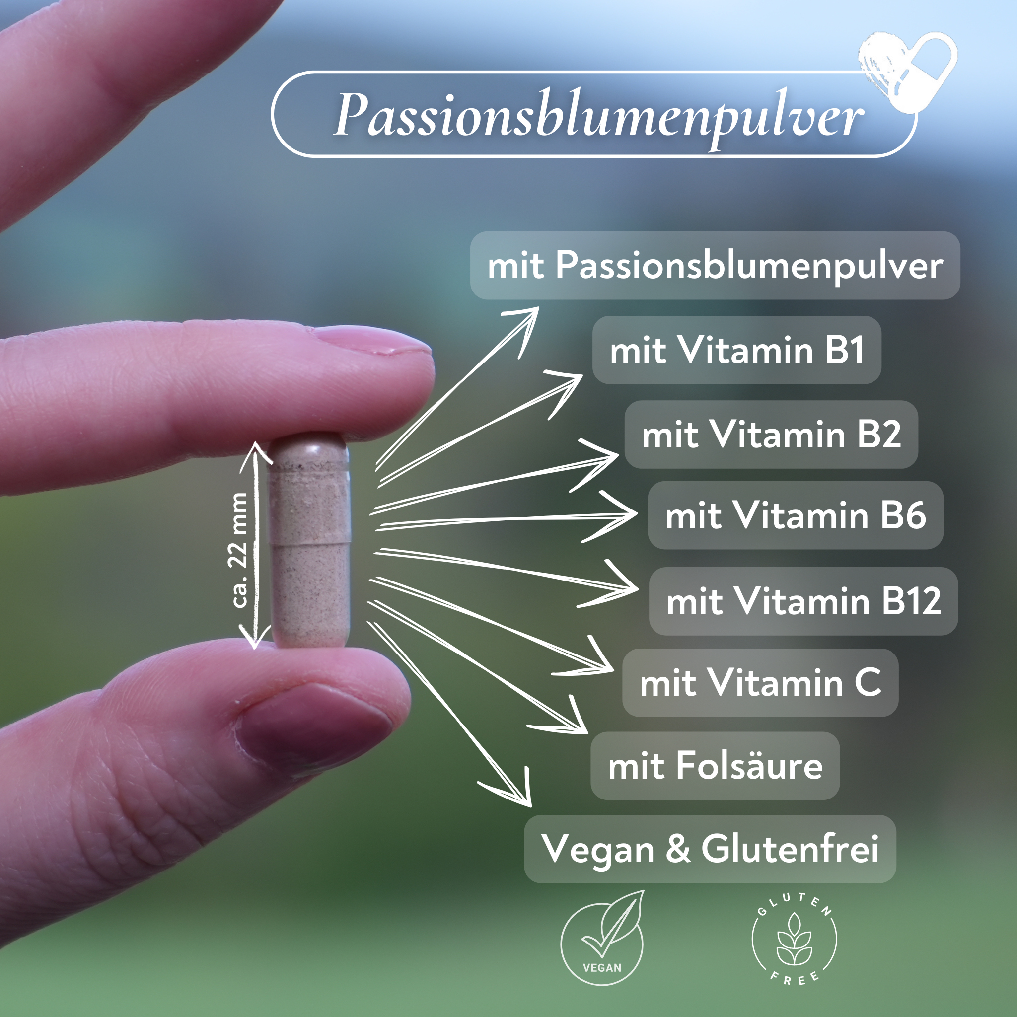 Passionsblumenpulver mit Vitamin-Komplex - 60 Kapseln