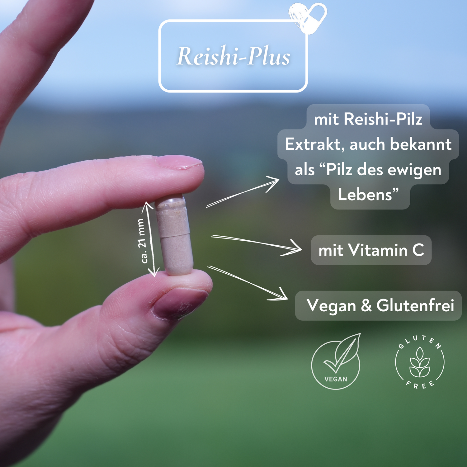 Reishi-Pilz-Extrakt und Vitamin C - 60 Kapseln