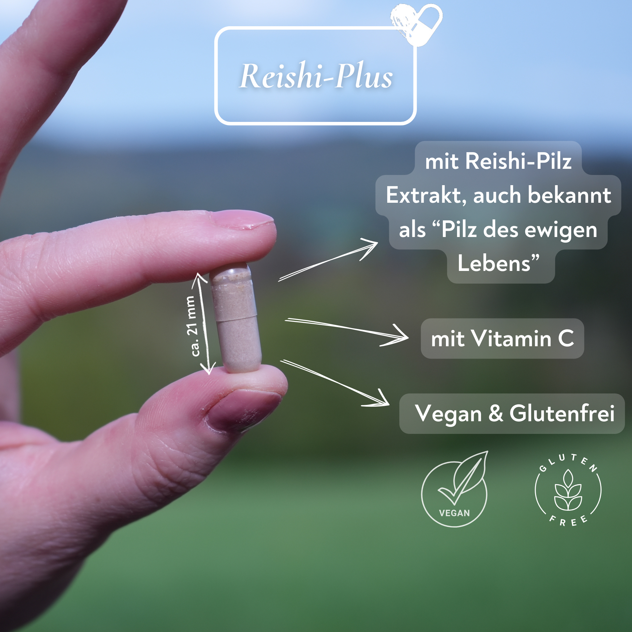 Reishi-Pilz-Extrakt und Vitamin C - 60 Kapseln