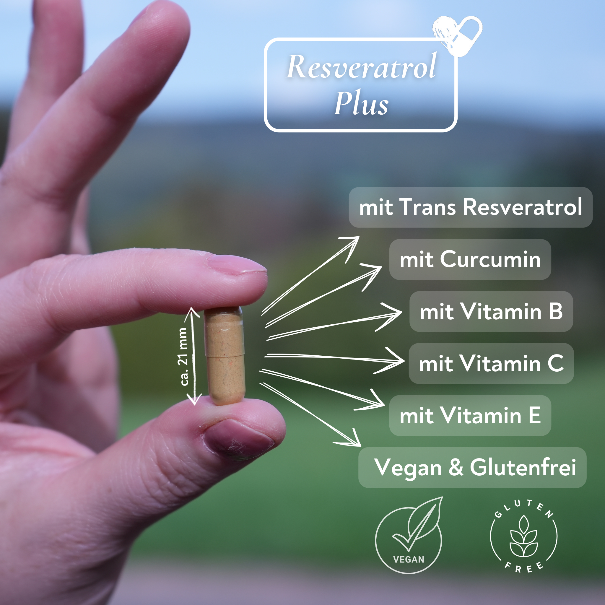 Trans Resveratrol, Curcumin und Multivitamin-Komplex - 60 Kapseln