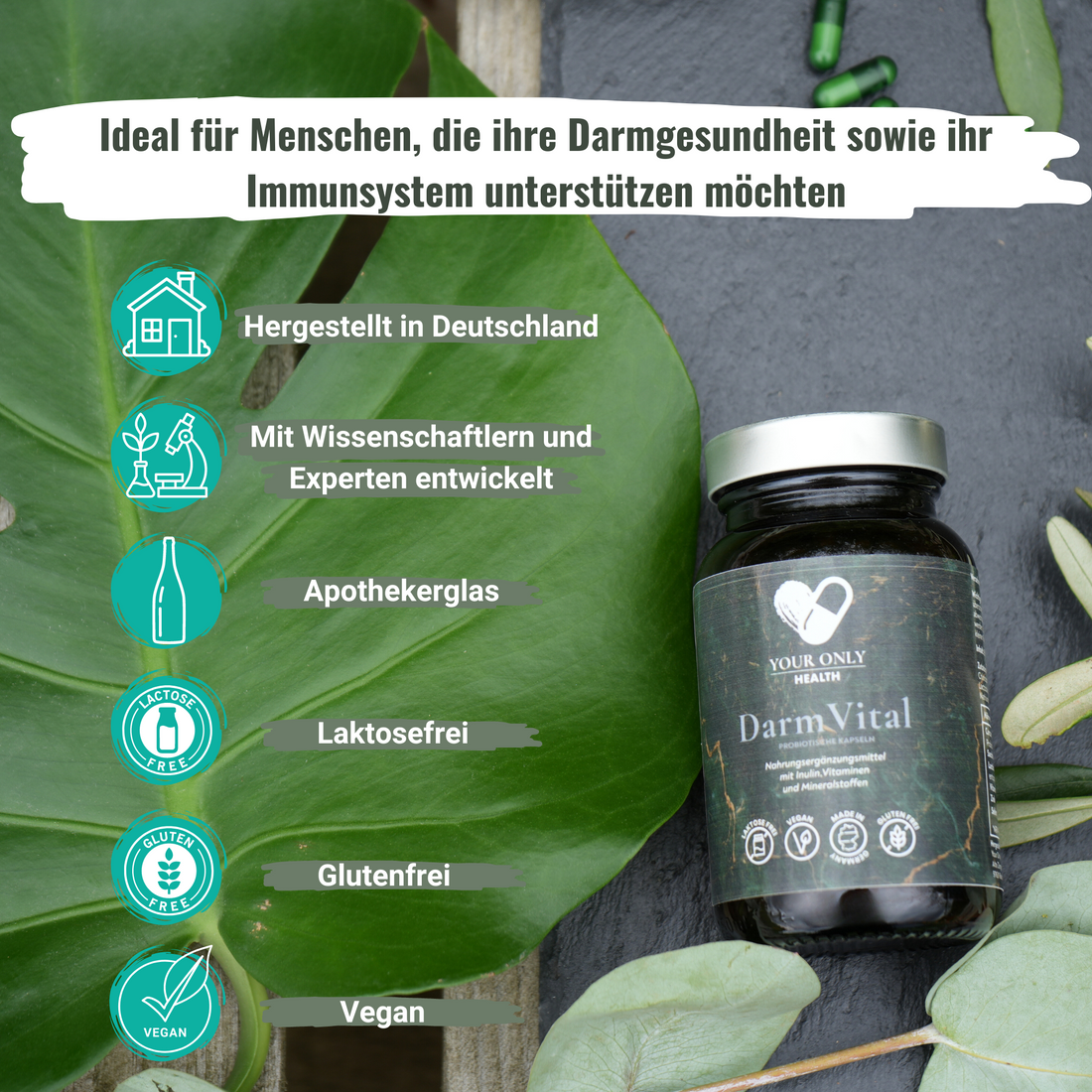 DarmVital mit Inulin, Vitaminen und Mineralstoffen - 60 vegane probiotische Kapseln