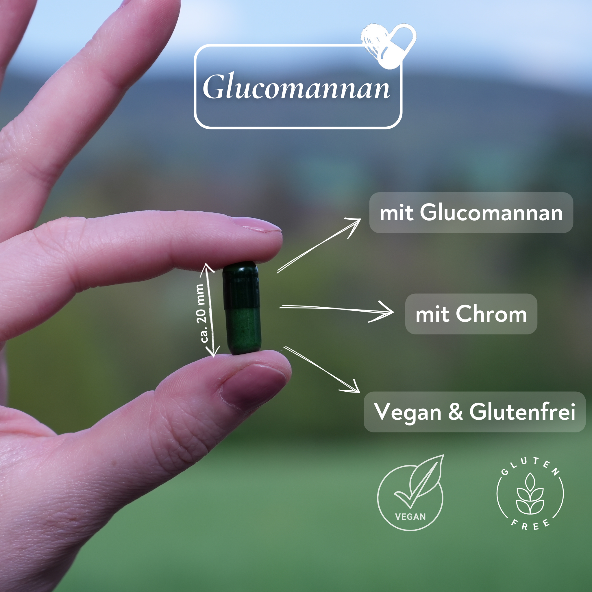 Glucomannan und Chrom - 60 Kapseln