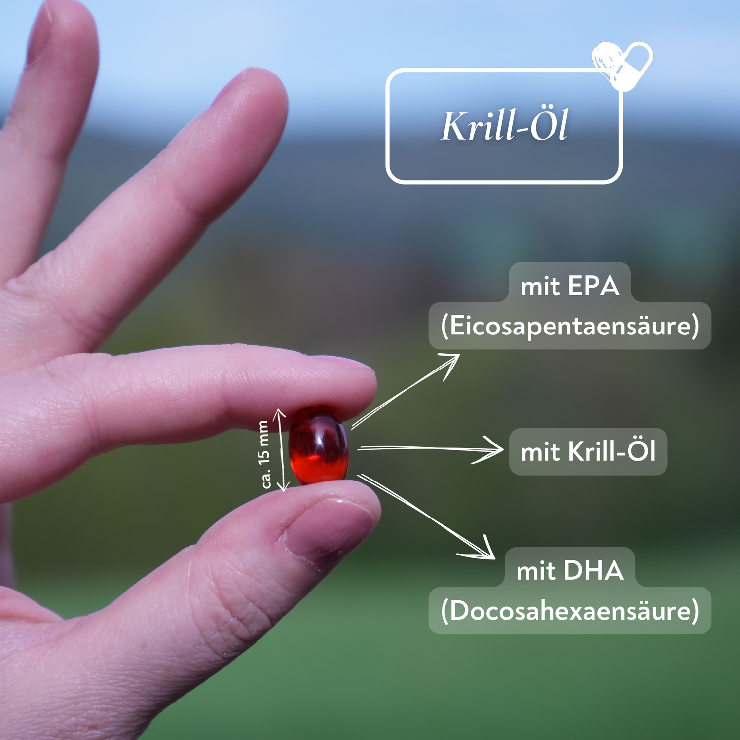 Krill-Öl als natürliche Omega-3-Fettsäure - 60 Kapseln