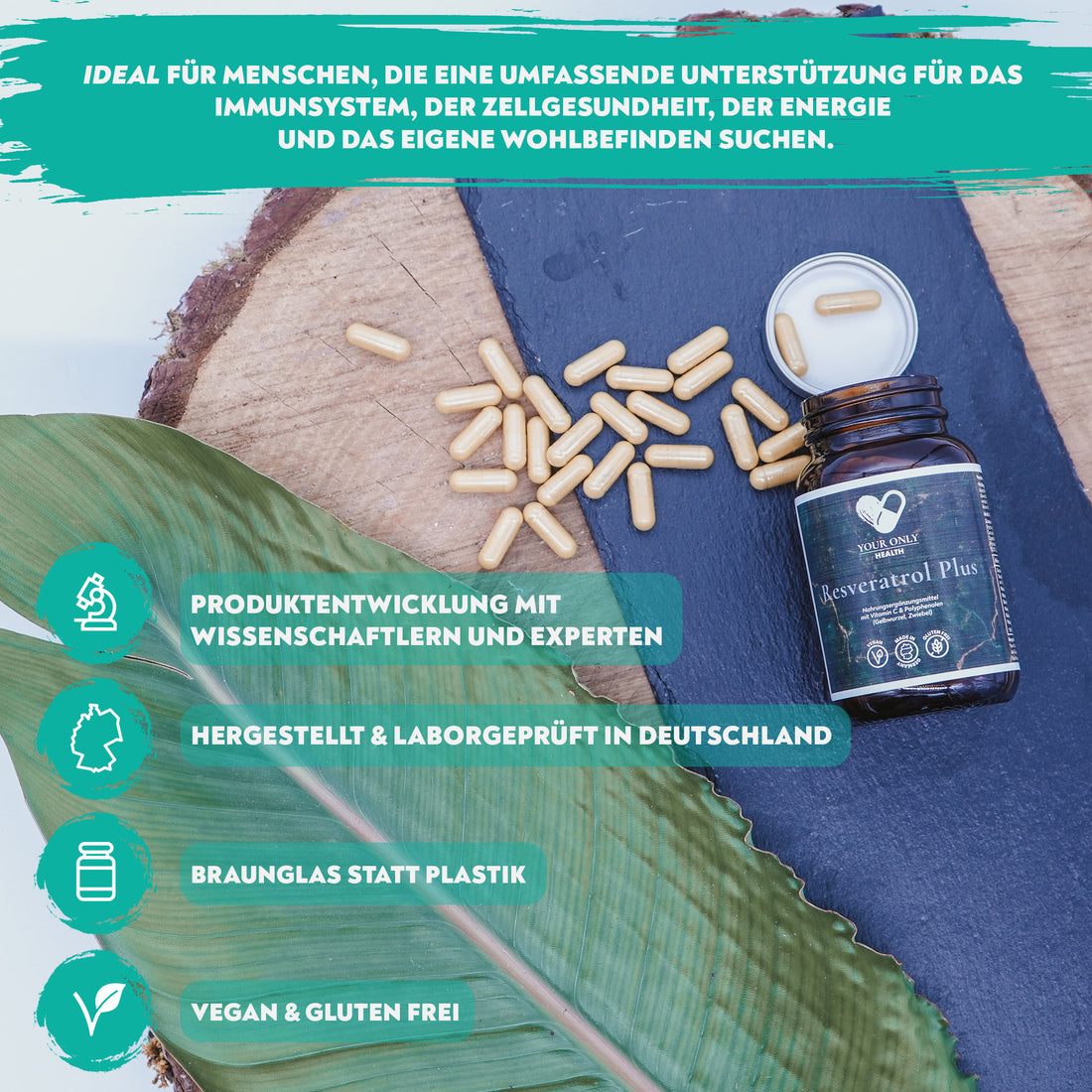 Trans Resveratrol, Curcumin und Multivitamin-Komplex - 60 Kapseln